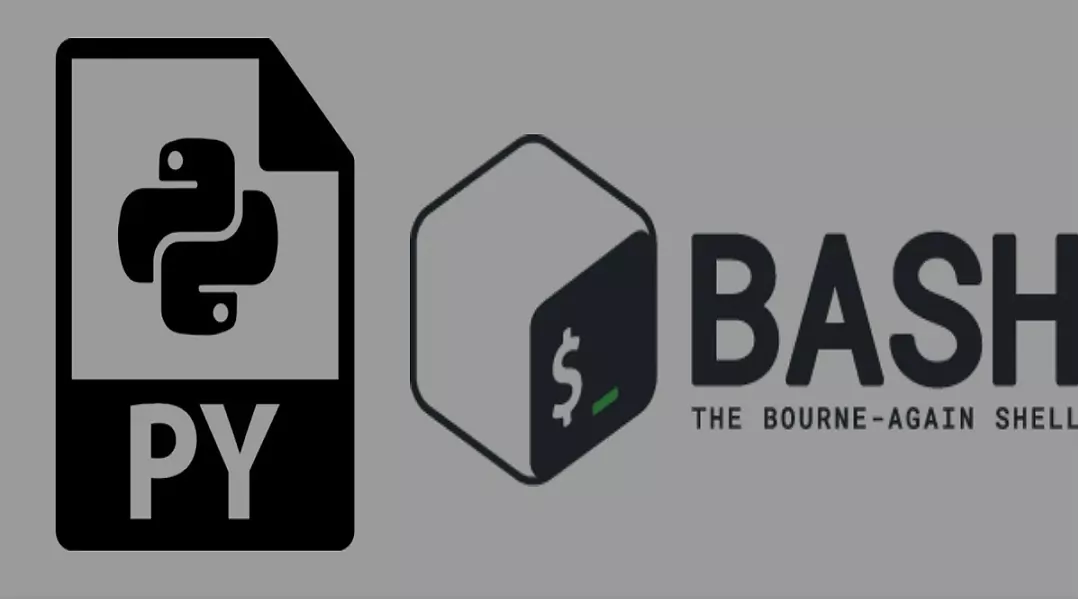 ryan burns image picture